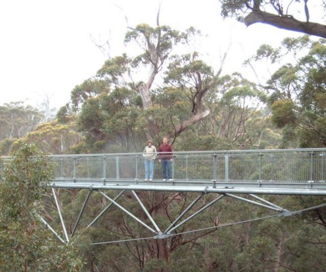 treetopwalk.jpg